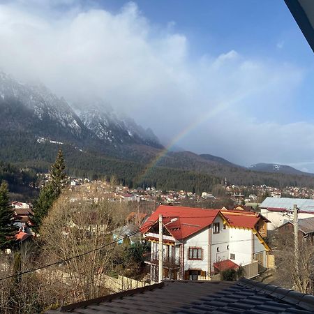 Casa Skadi, Zamora,Busteni Bagian luar foto
