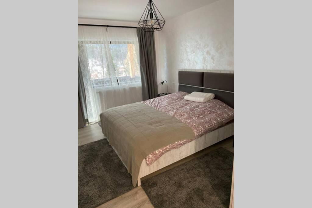 Casa Skadi, Zamora,Busteni Bagian luar foto