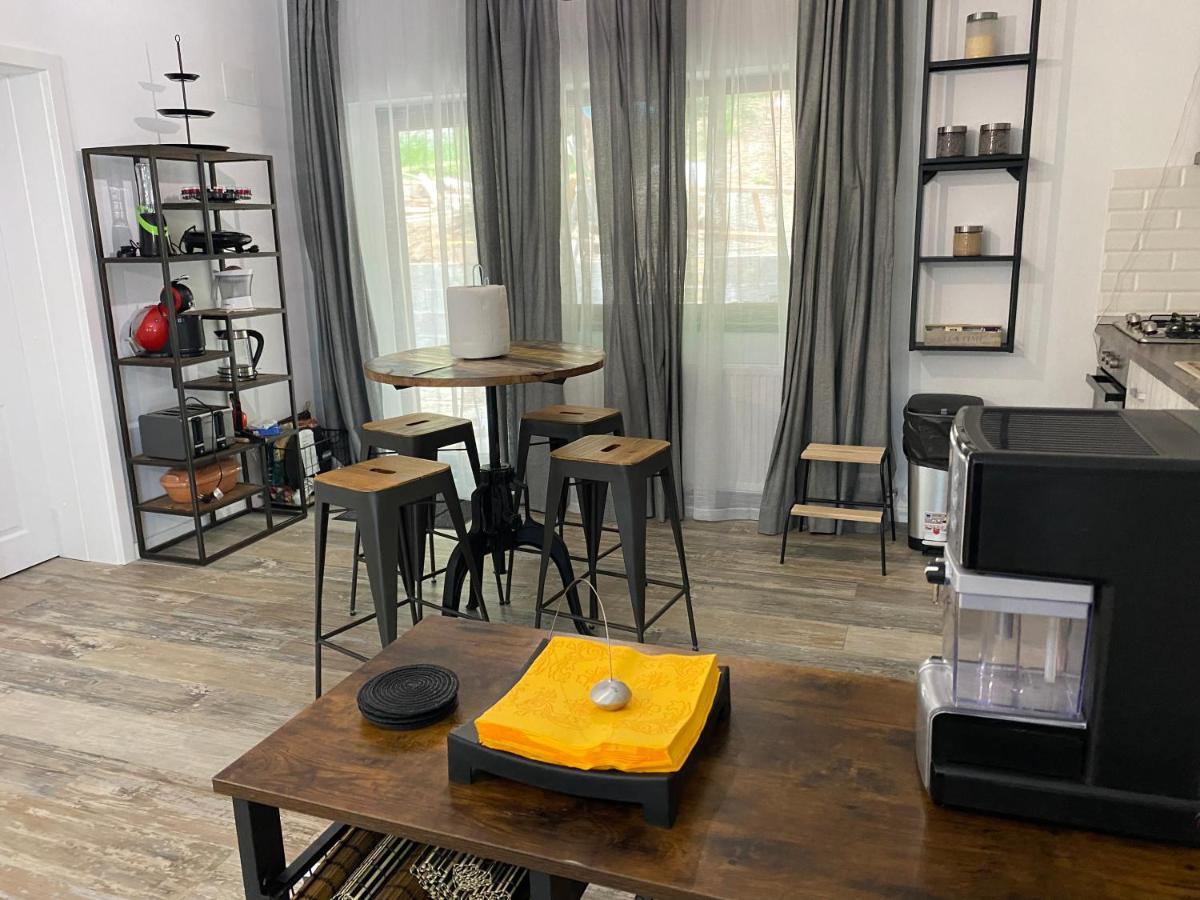 Casa Skadi, Zamora,Busteni Bagian luar foto